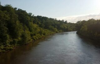 river with trees on both sides under clear blue sky