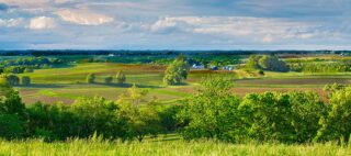 Panoramic shot of Iowa fields