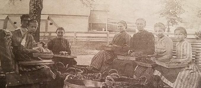 historical photo of ladies and girls preparing vegetables